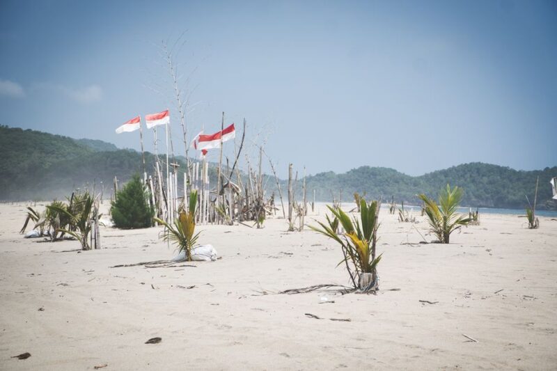 3 Keindahan Pulau Merah Banyuwangi yang Wajib Kamu Ketahui