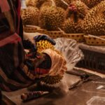 Panduan Praktis Cara Memulai Bisnis Durian untuk Pemula