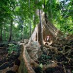 Panduan Praktis Menjelajahi Pesona Wisata Alas Purwo Banyuwangi